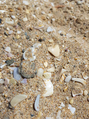 Close up of golden sand