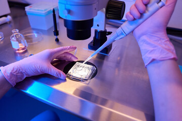 Qualified embryologist preparing biological material for microscopic examination