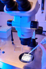 Laboratory scientist preparing samples for microscopic examination
