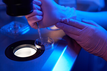 Embryologist loading oocytes with syringe into cell-culture dish