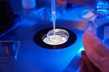 Embryologist covering embryos with mineral oil in culture plate