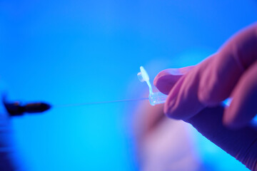 Lab researcher transferring specimens to cryogenic tube