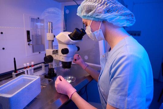 Embryologist is performing in vitro fertilization procedure under microscope