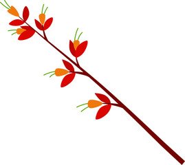 Berries and flowers on branch vector illustration. Autumn Berries design element
