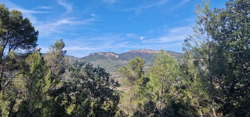 sceneries from mallorca spain