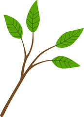 Tree branch with leaves. Autumn leaf design element vector illustration