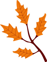 Tree branch with leaves. Autumn leaf design element vector illustration