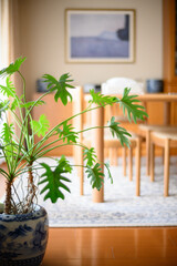 窓から柔らかい光が入るリビングダイニングルーム。ダイニングテーブルとボードの上にはリトグラフと飾り。観葉植物がアクセントに。