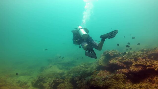 Scuba diver swimming slowly over coral reef, Thailand