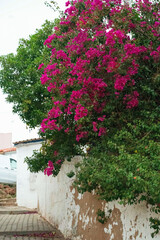 Small Village in Portugal Algarve with market and gardens