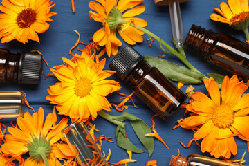 Bottles of essential oils and beautiful calendula flowers on blue wooden table, flat lay