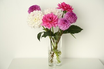 Bouquet of beautiful Dahlia flowers in vase on table near white wall