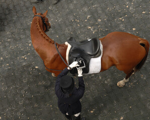 dressage horse from above rider in dressage apparel top hat tails horse well turned out tak...