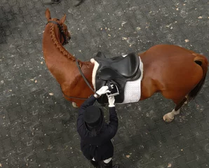 Foto op Canvas dressage horse from above rider in dressage apparel top hat tails horse well turned out tak chestnut horse rider on ground getting ready to mount horizontal equine image type space english saddle  © Shawn Hamilton CLiX 