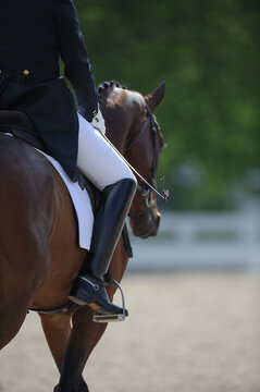 dressage rider with show attire riding horse white breeches or jodhpurs tall black english dressage boots spurs white gloves dressage whip and jacket with tails white saddle pad vertical equine image 
