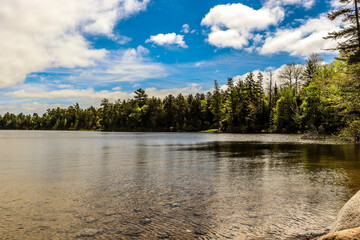 lake in the forest