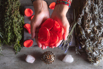 woman holding rose petals with her hands for spiritual and traditional ritual of the Latin American...