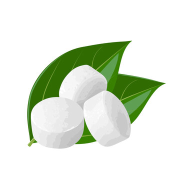 Vector illustration, white camphor tablets, with green leaves, isolated on white background.