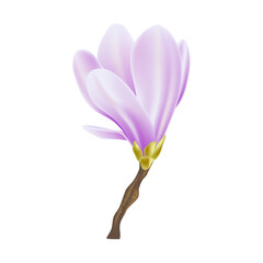 Obraz premium Vector spring background with blossom brunch of purple flowers