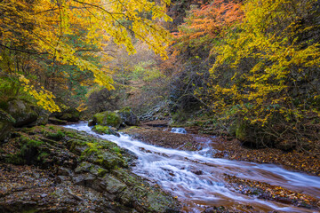 waterfall in autumn forest