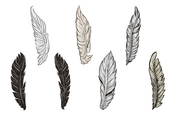 set of feathers, vector set