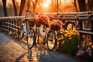 Poster Beautiful sunrise with flowers and bicycles on the bridge in spring  © Malaika