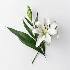 Obraz premium White Lilies flowers isolated on a white background, Wall decoration photos, Generative AI. 