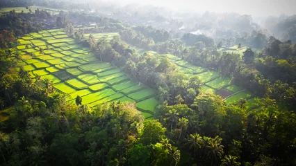 Rolgordijnen Aerial view of beautiful Tegallalang Rice Terrace surrounded by tropical forest in Gianyar, Bali, Indonesia. Balinese Rural scene, paddy terrace garden in a village with morning sunlight and mist. © Rizky