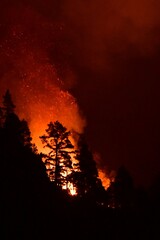 INCENDIO FORESTAL EN LA ISLA DE TENERIFE