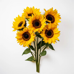 Sunflowers and leaves isolated on a white background, Yellow summer flower, Wall decoration photos, Generative AI.