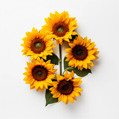 Obraz premium Sunflowers and leaves isolated on a white background, Yellow summer flower, Wall decoration photos, Generative AI.