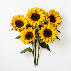 Obraz premium Sunflowers and leaves isolated on a white background, Yellow summer flower, Wall decoration photos, Generative AI.