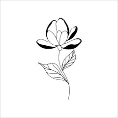 vector illustration of flower outline