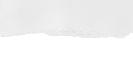 White ripped paper torn edges strips isolated on transparent background PNG file