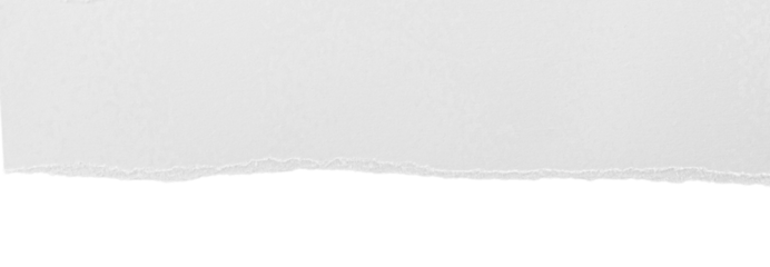 White ripped paper torn edges strips isolated on transparent background PNG file