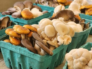Chef's Mixed Mushrooms
