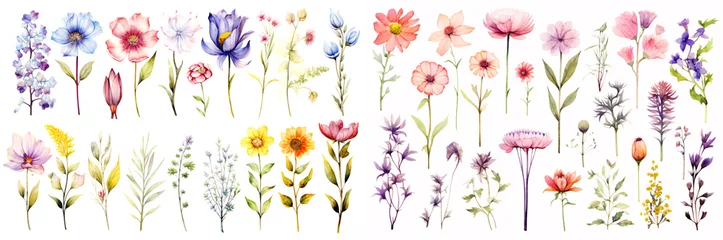 Fotobehang 水彩風のたくさんの花イラスト（白背景）｜Watercolor flowers. Generative AI © MAKIKO