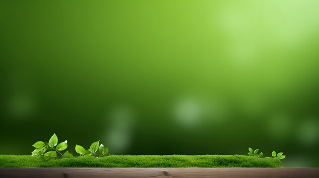 green grass background with wmpty space,green  blur background 