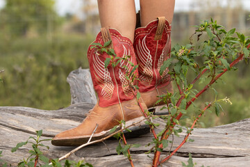 Lower half of woman wearing western boots standing on a log with legs crossed in a field