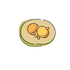 pequi, Mato Grosso, Cuiaba, Cultura regional, comida tipica, pequi roido, xomano