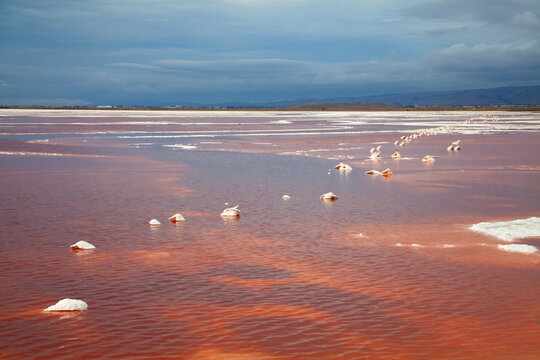 Alviso Marina County Park, Bay Area, California