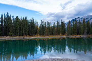 Pine Lake, changing leaves and reflection of pine trees in the lake at Banff City Park in Canada.