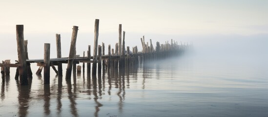 Sea pier in morning fog