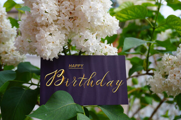 postcard , Internet banner , flat lay with a birthday greeting, with the inscription - happy...