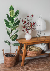 Cozy interior of the living room - an oak bench with decor, a lamp, a basket with blankets and a ficus in a basket