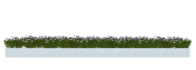 Plant Brushes with flower in concrete planter. png file