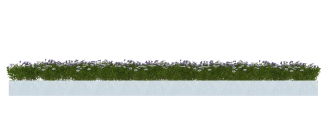 Photo sur Plexiglas Herbe Plant Brushes with flower in concrete planter. png file