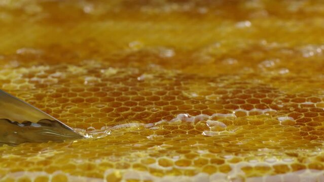 4k footage close-up of the knife cutting the honeycomb. The knife is immersed in golden fresh smooth honey. Delicious scene, natural sweets. Eco culture. Healthy type of shugar