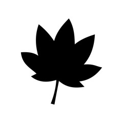 leaf, maple, autumn, fall