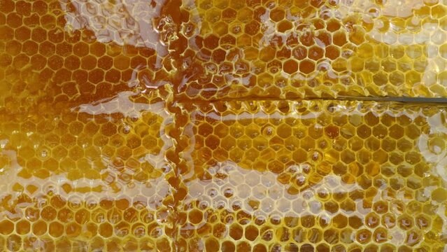 4k footage close-up top view of the knife cutting the honeycomb. The knife is immersed in golden fresh smooth honey. Delicious scene, natural sweets. Eco culture. Healthy type of shugar